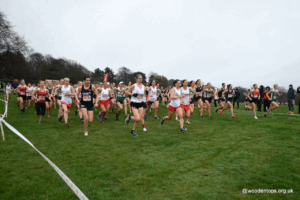British and Ireland Masters International Cross – Country, Leeds, November 15